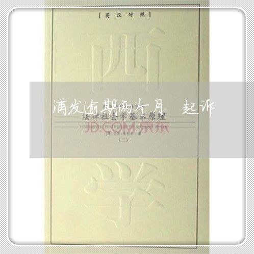 浦发逾期两个月 起诉